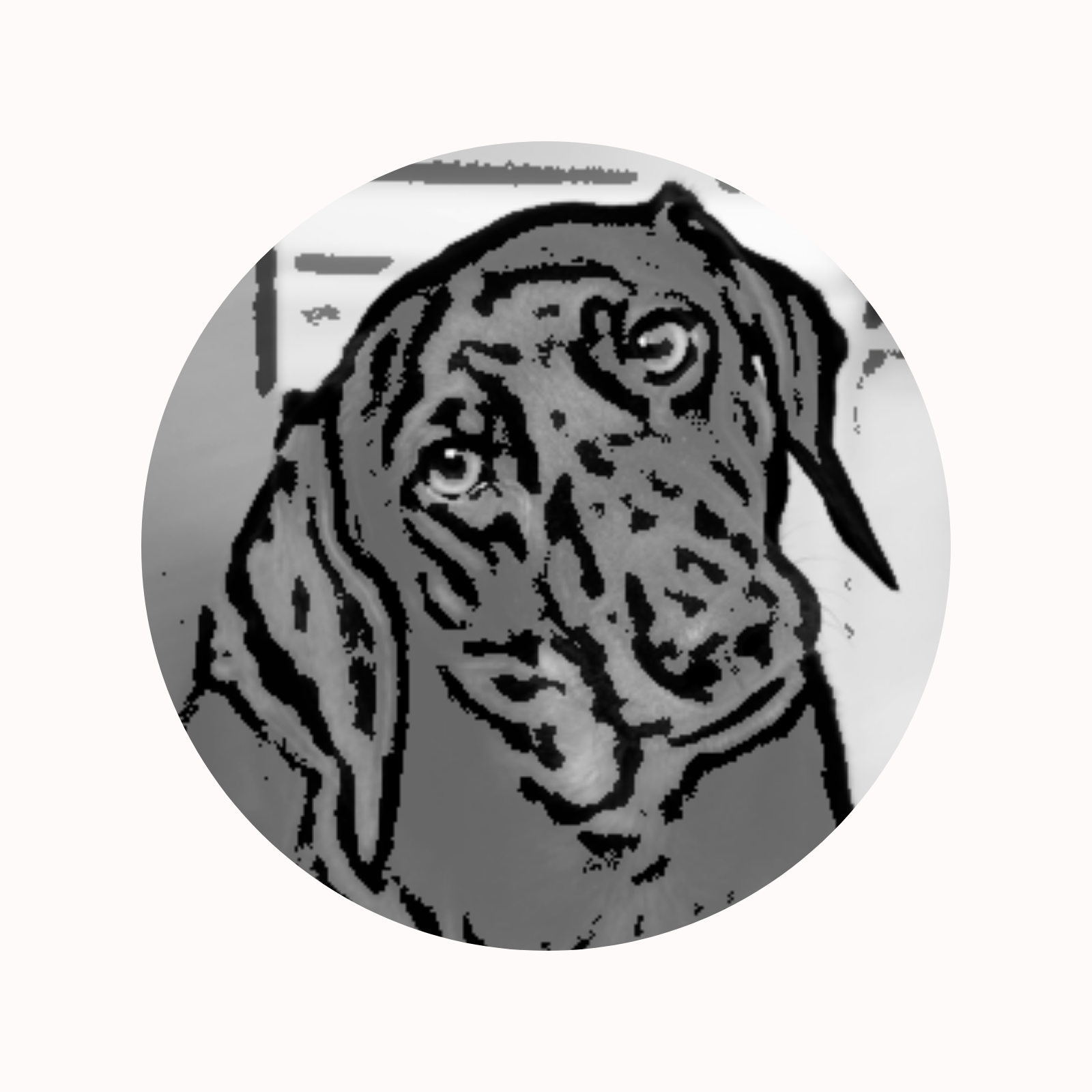 Alt Image